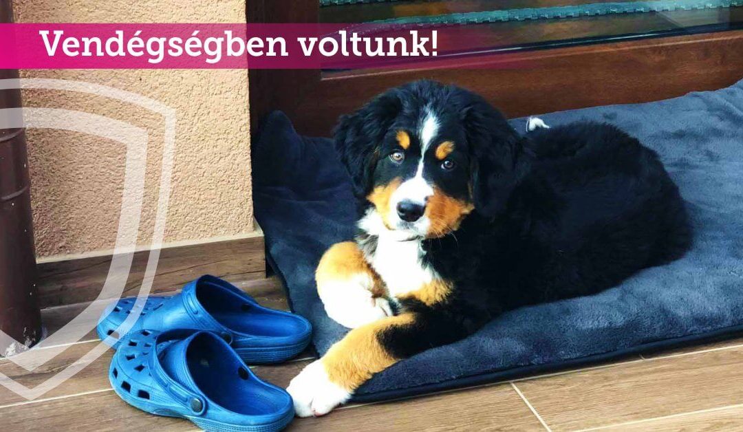 Vendégségben voltunk…